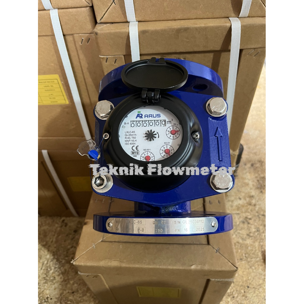 Water Meter 2.5 inch Arus LXLC-65 DN65