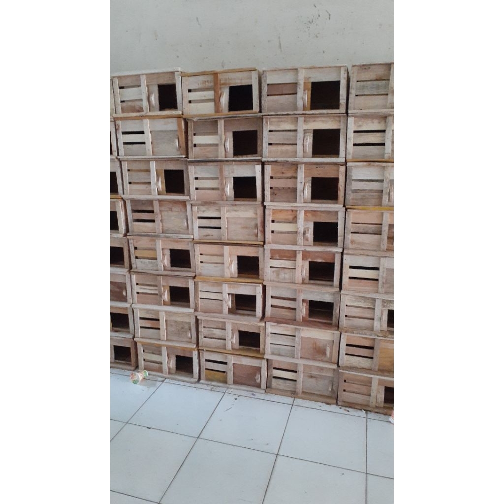 Gupon/tong burung merpati/dara