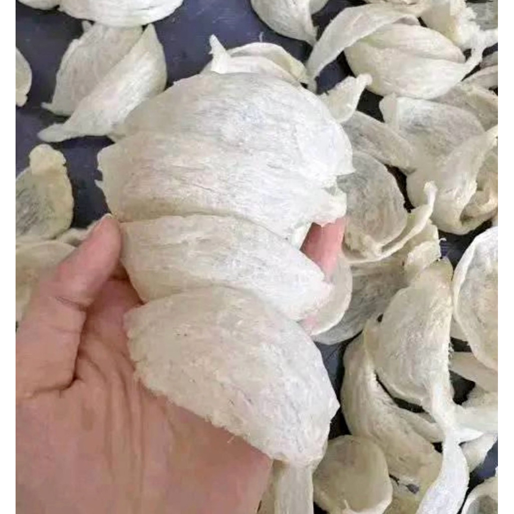 Sarang Burung Walet Bersih Mangkok Oval/100% Walet Asli