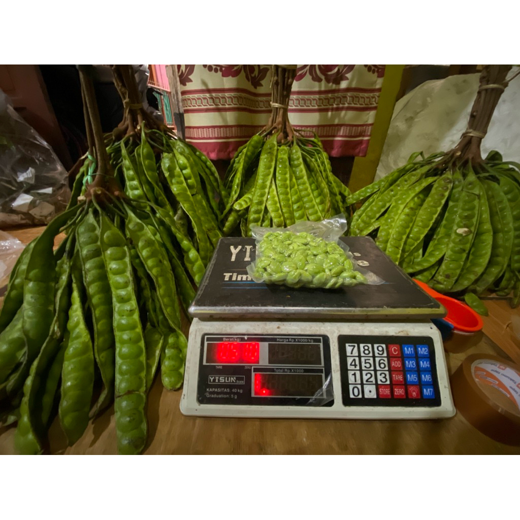 PETE KUPAS FRESH PREMIUM (A+) 500 GRAM DIVAKUM FRESH KUPAS DADAKAN