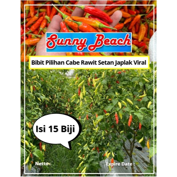 Bibit Pilihan Cabe Rawit Setan Japlak Viral | Biji Benih Cabe Rawit Japlak Viral | Cabe Rawit Viral