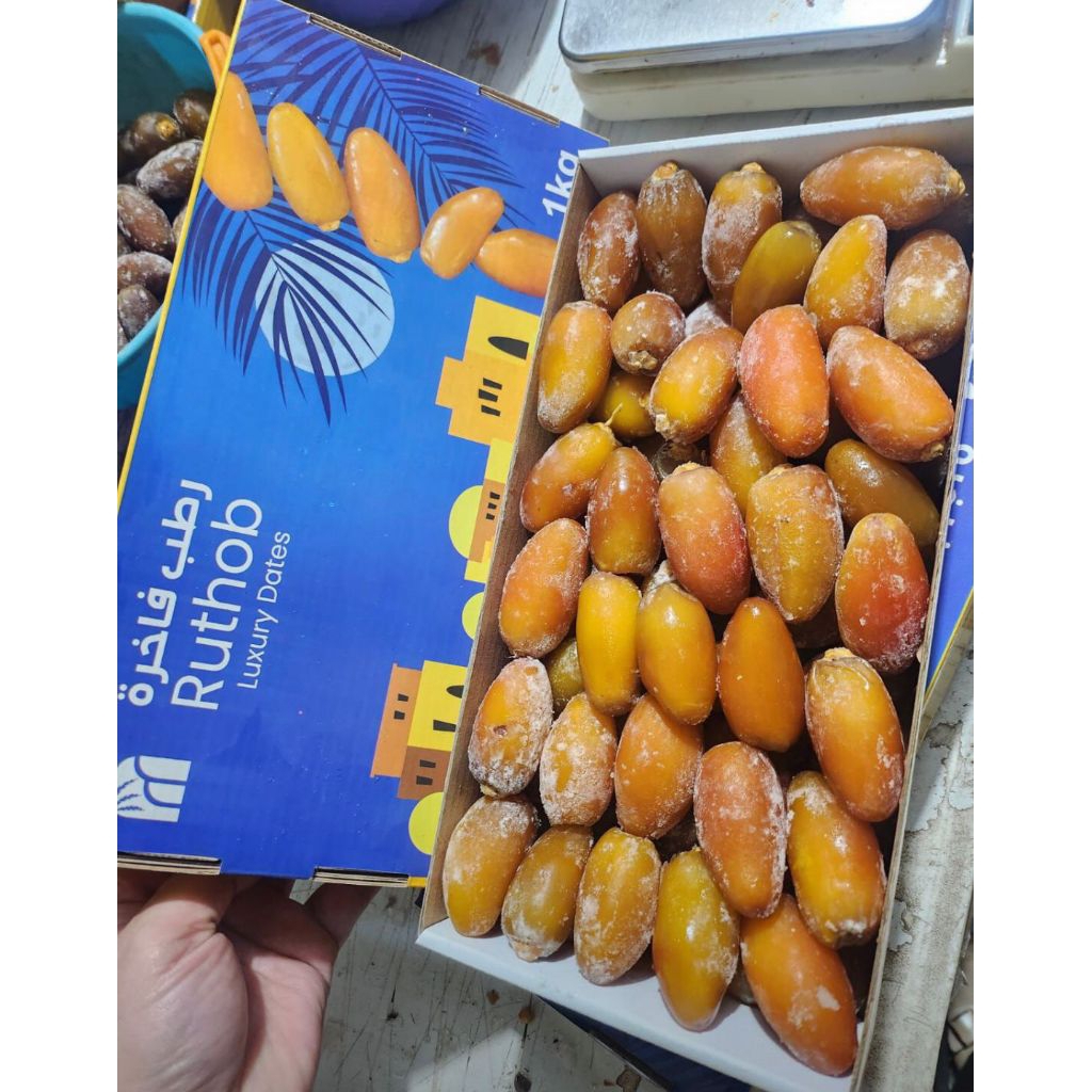 KURMA MUDA KEMASAN 1 KG / KURMA MUDA MANIS SEGAR / KURMA MUDA