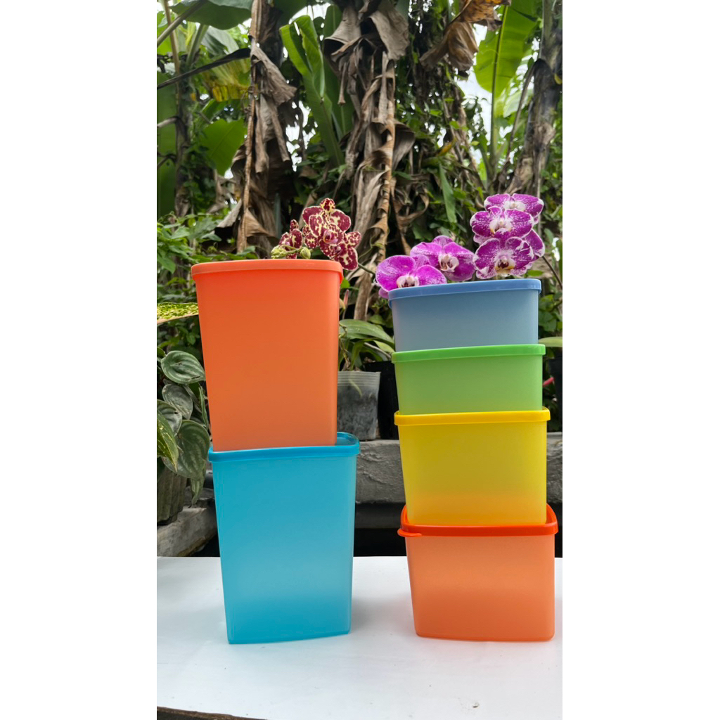 TOPLES SQUARE TUPPERWARE BARU. Tempat penyimpan makanan