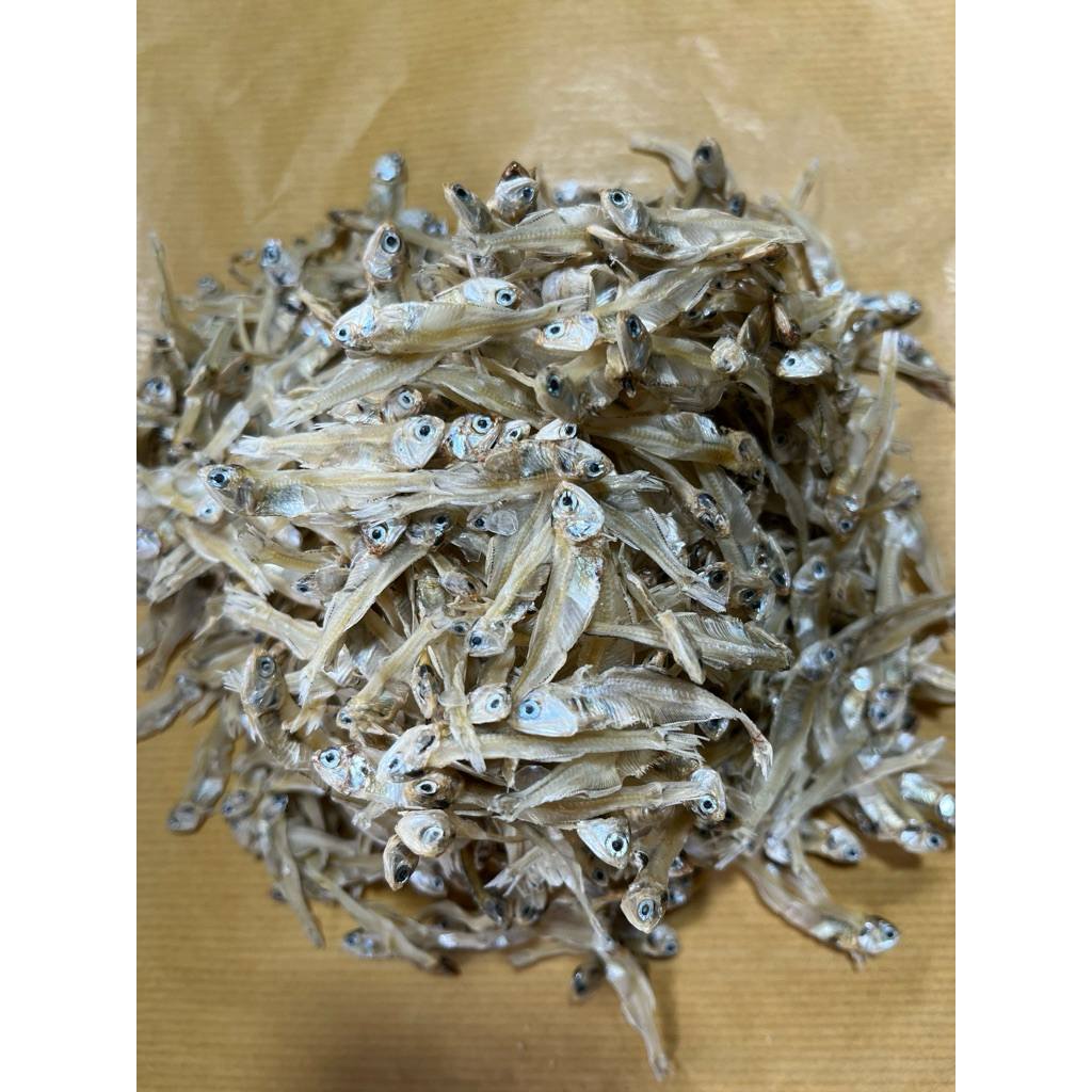 Ikan Teri Bunga Tawar