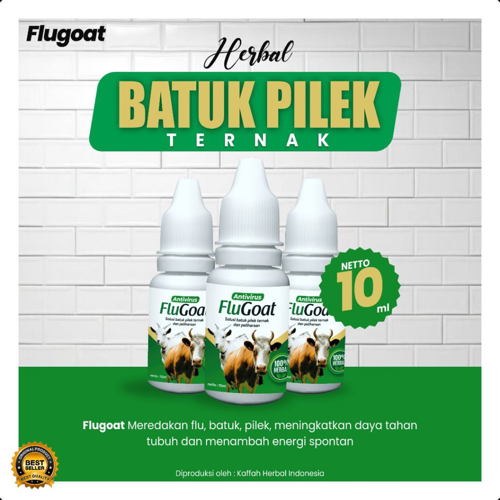 BERKUALITAS  Obat Kambing Flu Batuk, Obat Kambing Flu Dan Batuk