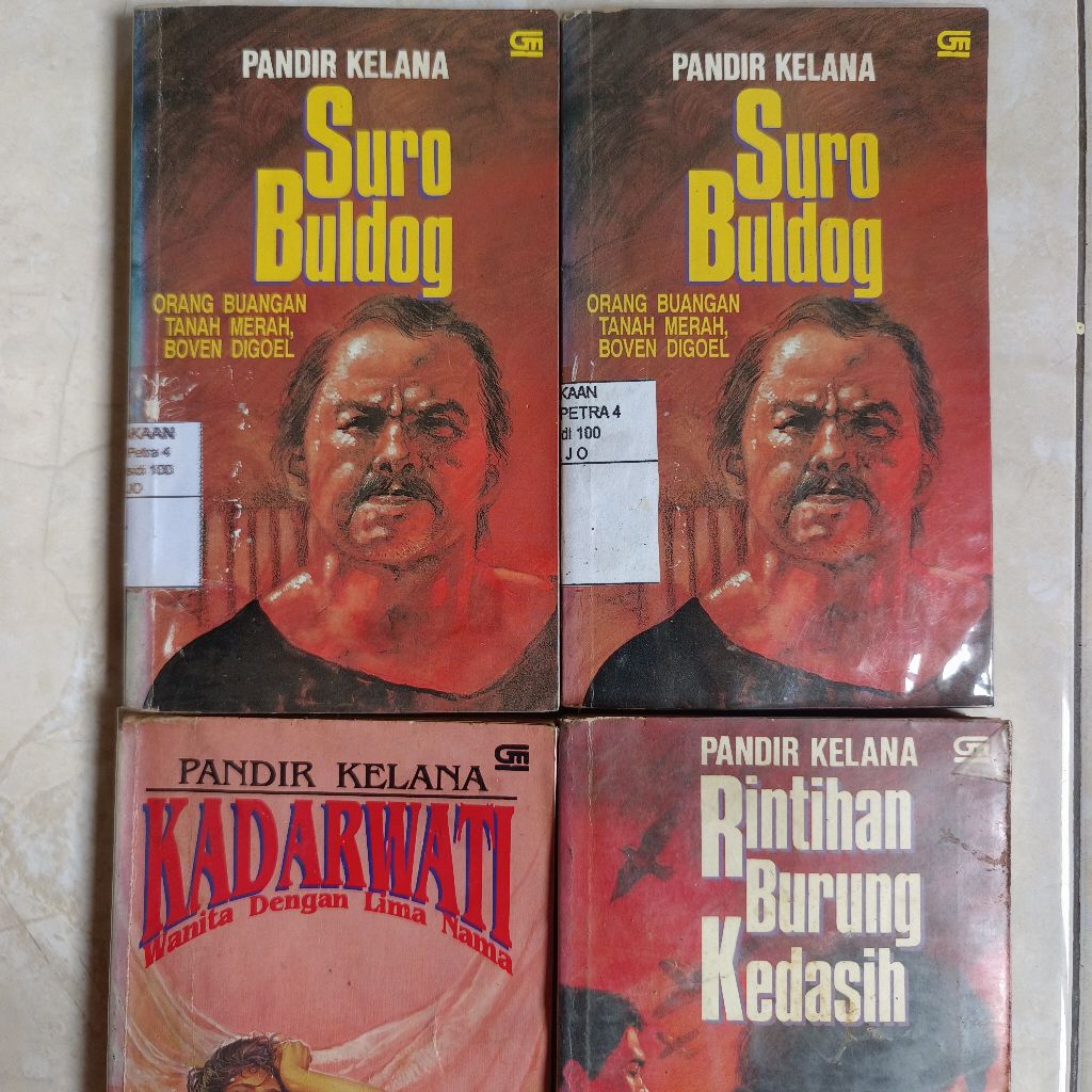 Novel Pandir Kelana Buku Lawas