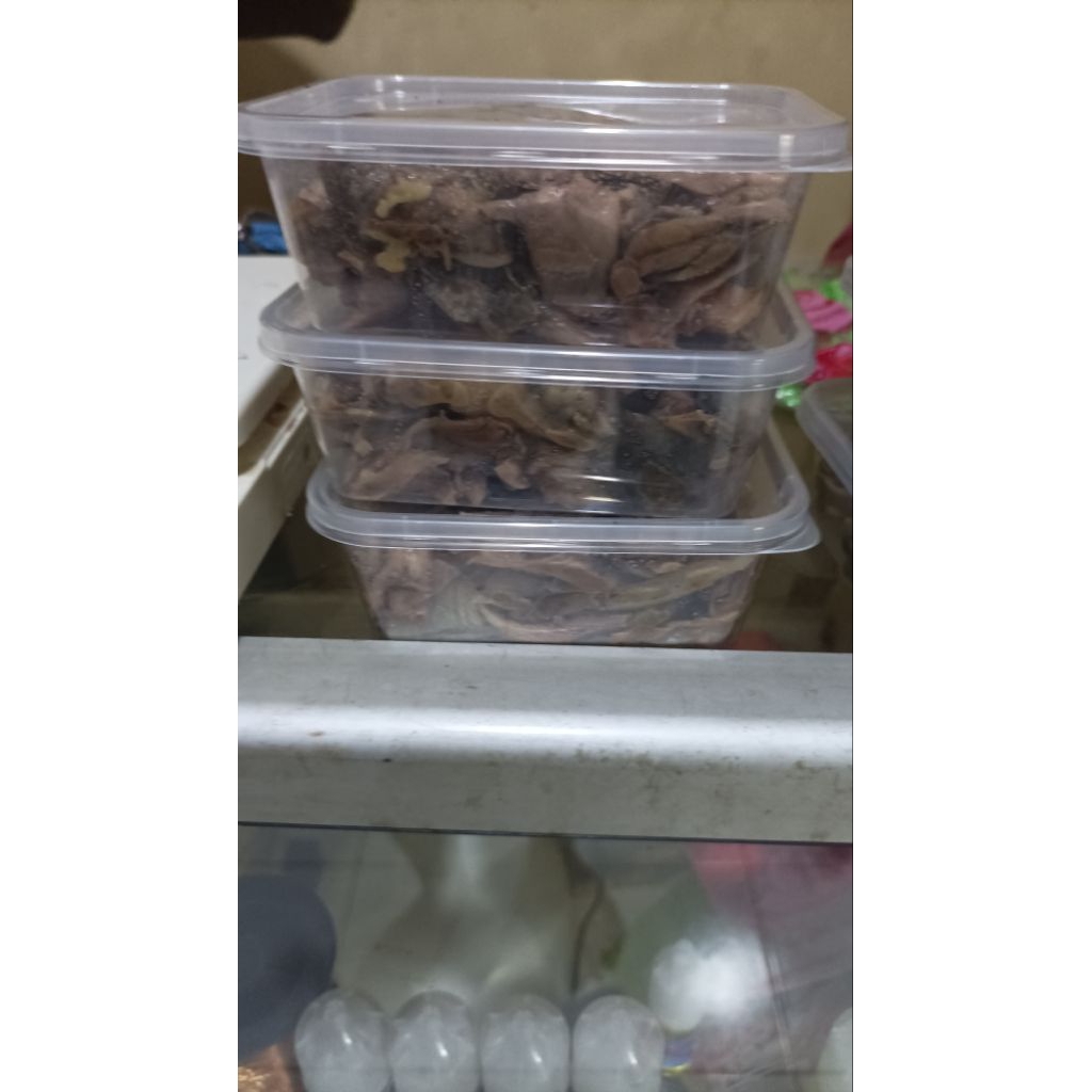 Daging Bulus Umpan GT Lele