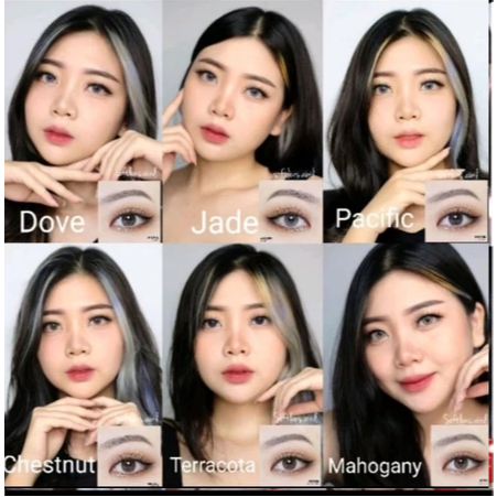 SOFTLENS X2 MOXIE MINUS DIAMETER 14,5MM BY EXOTICON MURAH