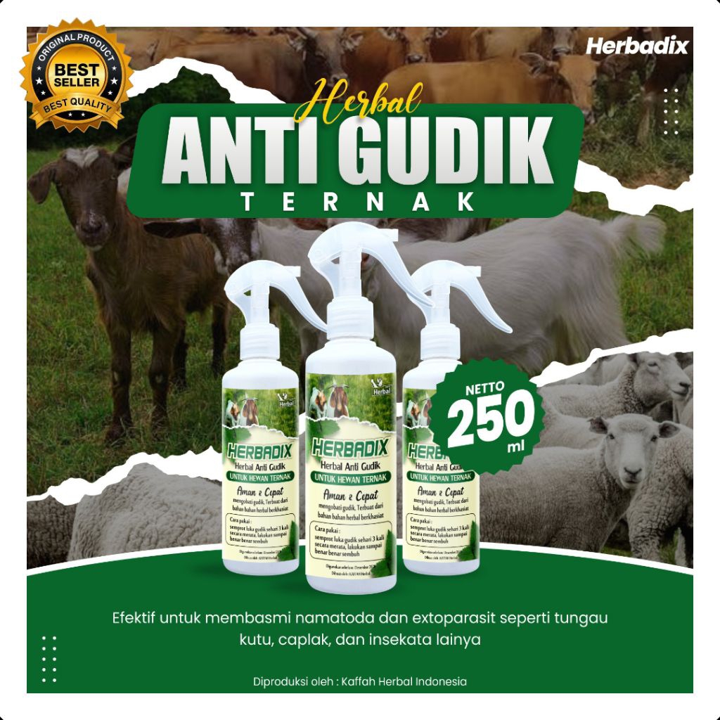 DICARI-CARI  Obat Gudik Kambing Qurban, Obat Gudik Kambing Semprot, Obat Gudik Kambing Yang Ampuh