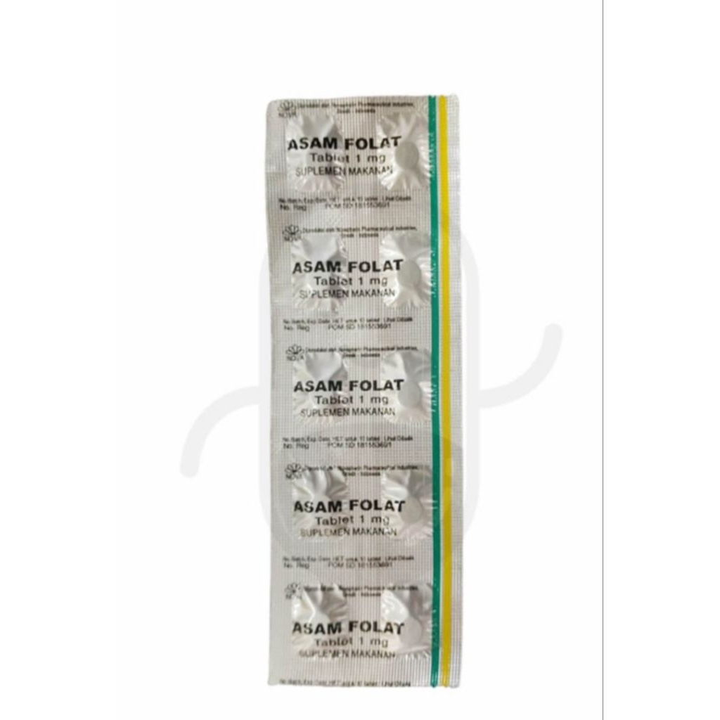 ASAM FOLAT BOX ISI 100 TABLET