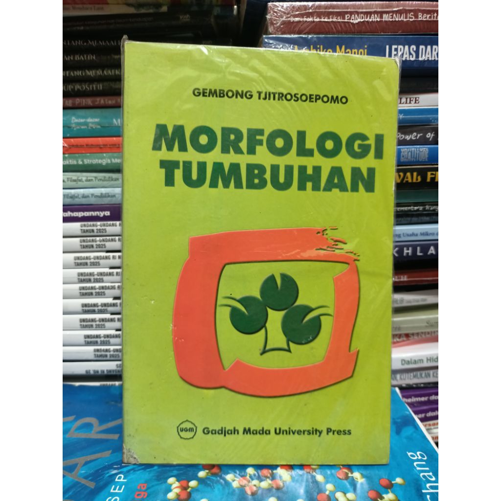 Morfologi tumbuhan