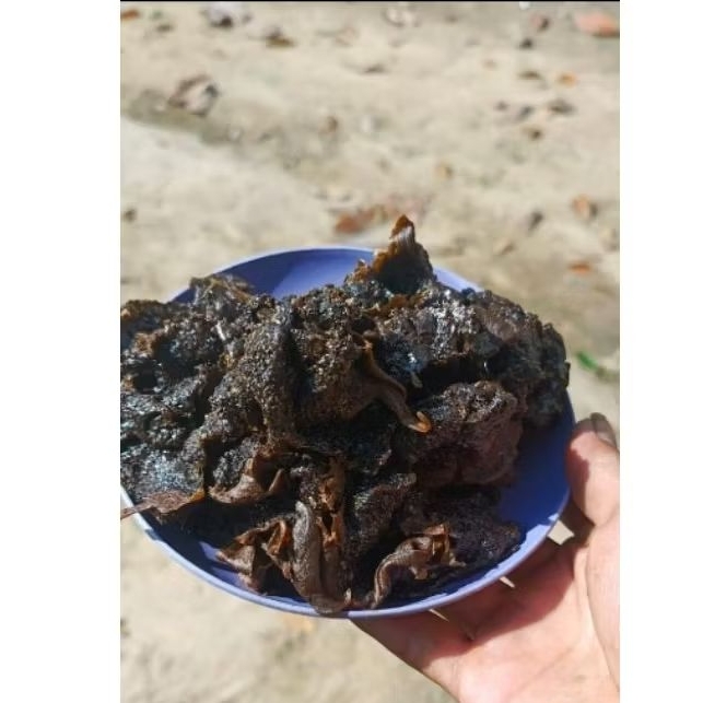 Propolis mentah thorasika 100 gram