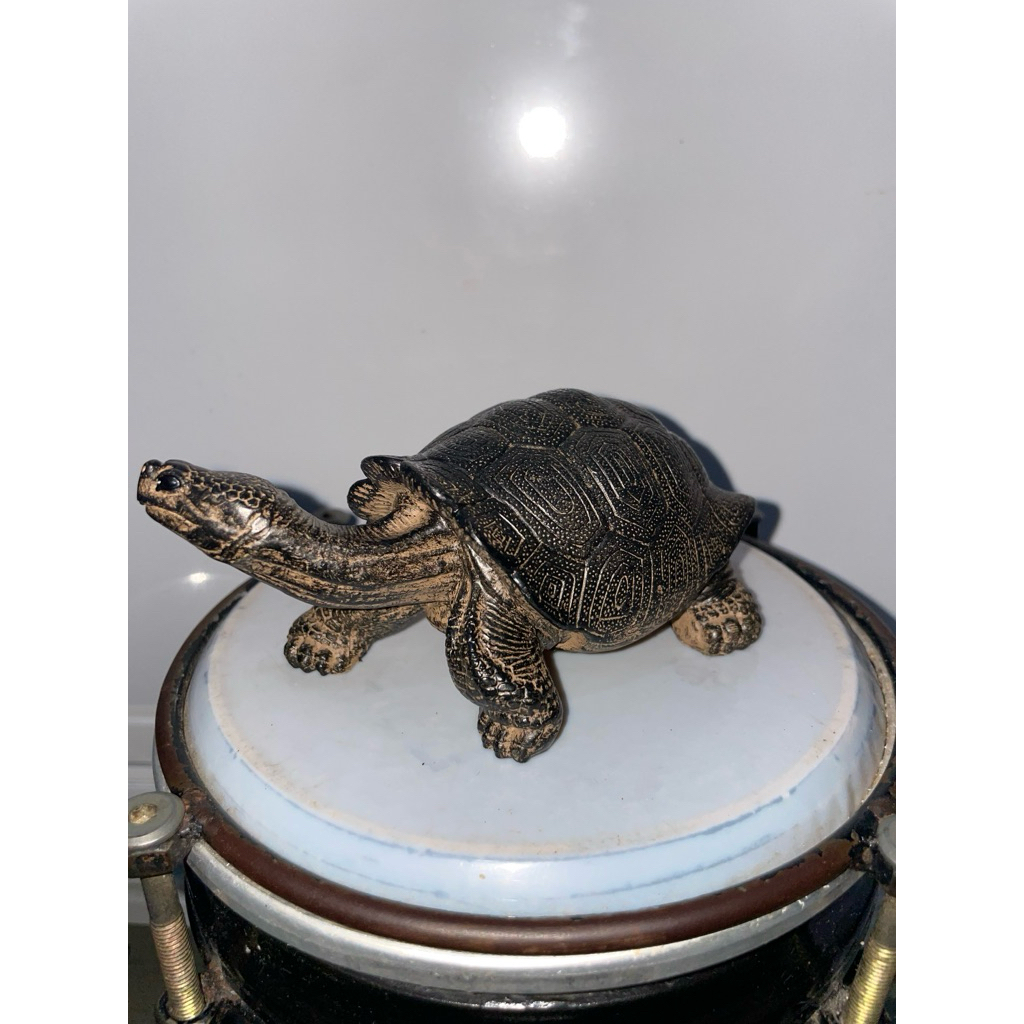 replika kura Aldabra