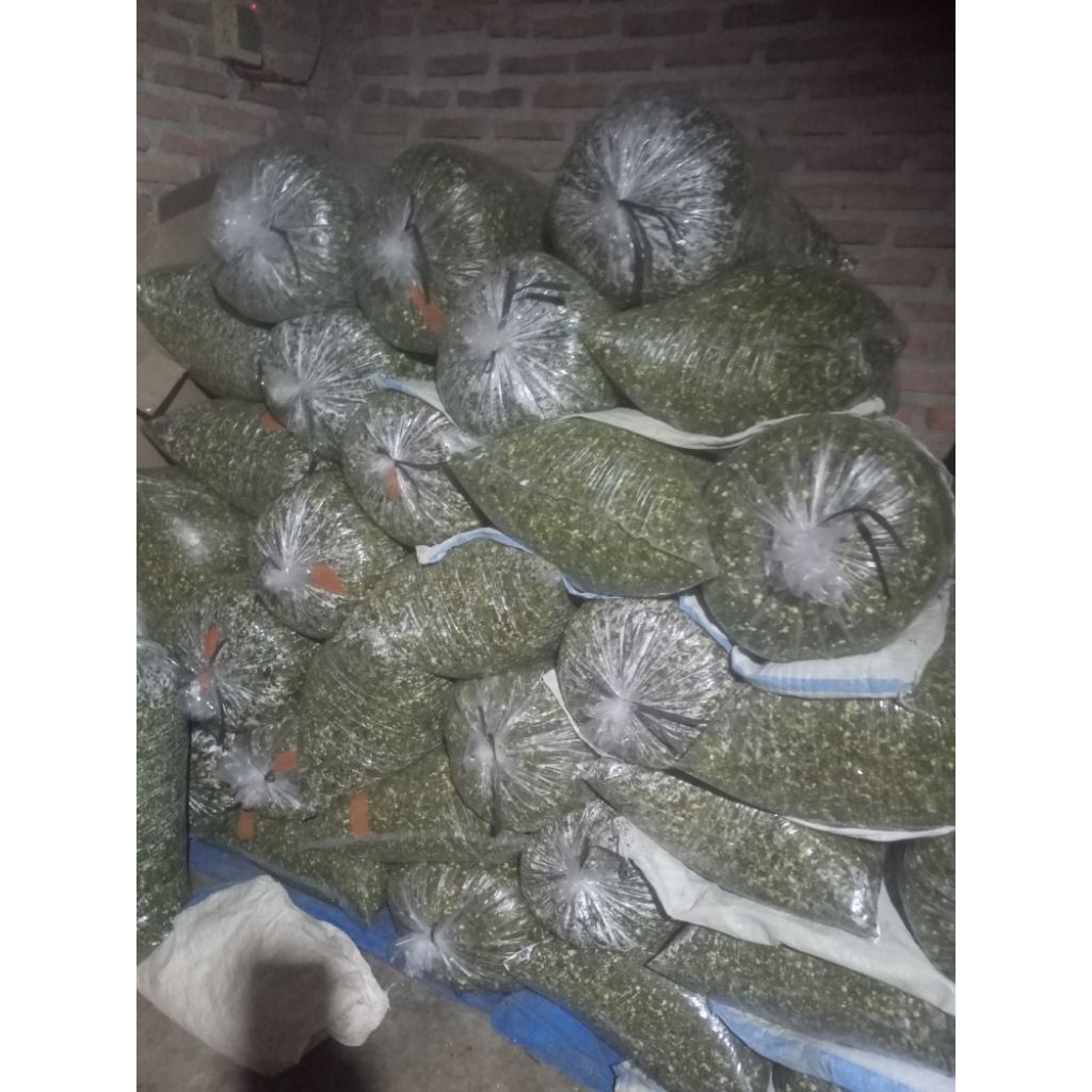 silase daun singkong