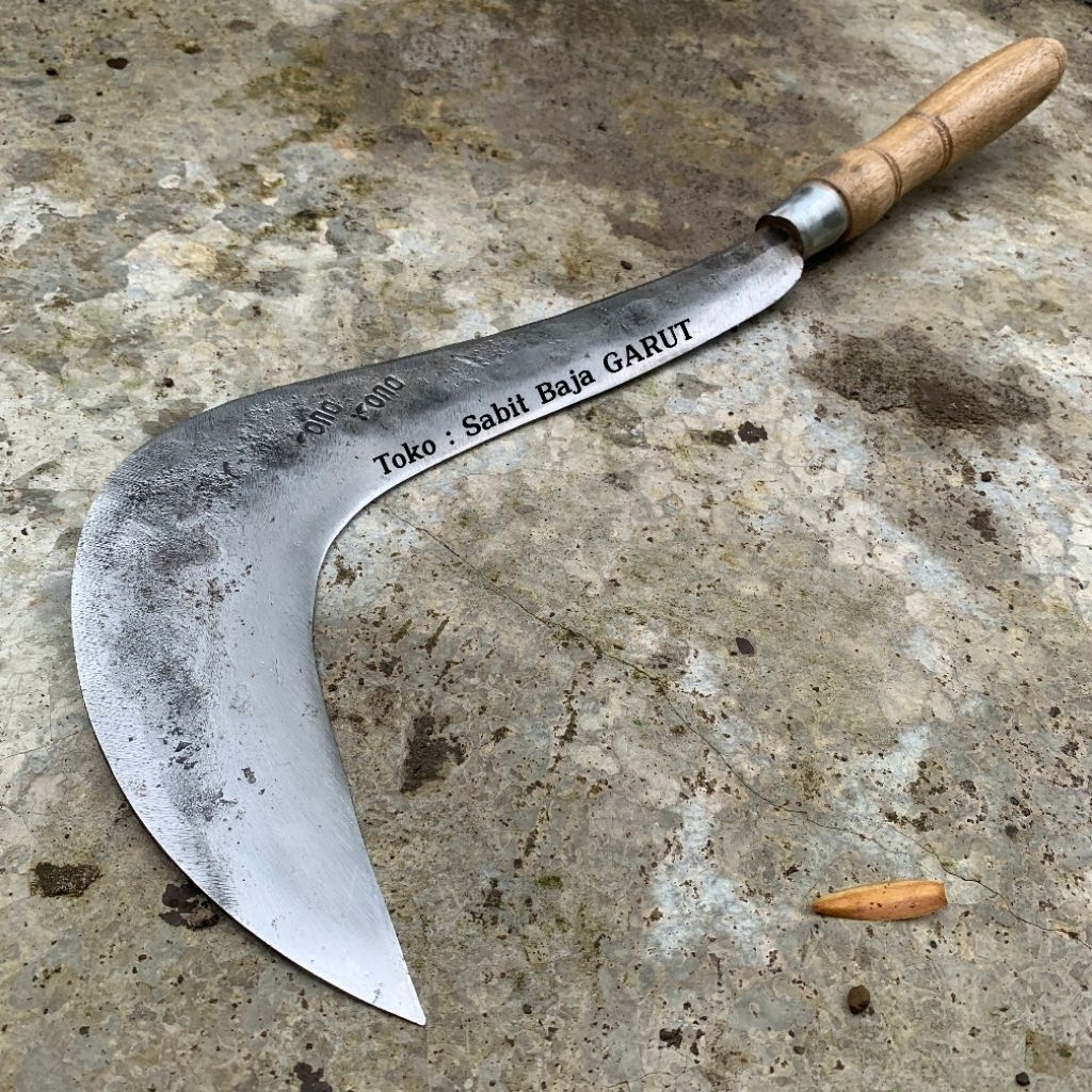 Parang Congkrang Rumput Baja