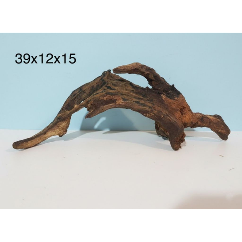 kayu rentek aquascape sudah tenggelam