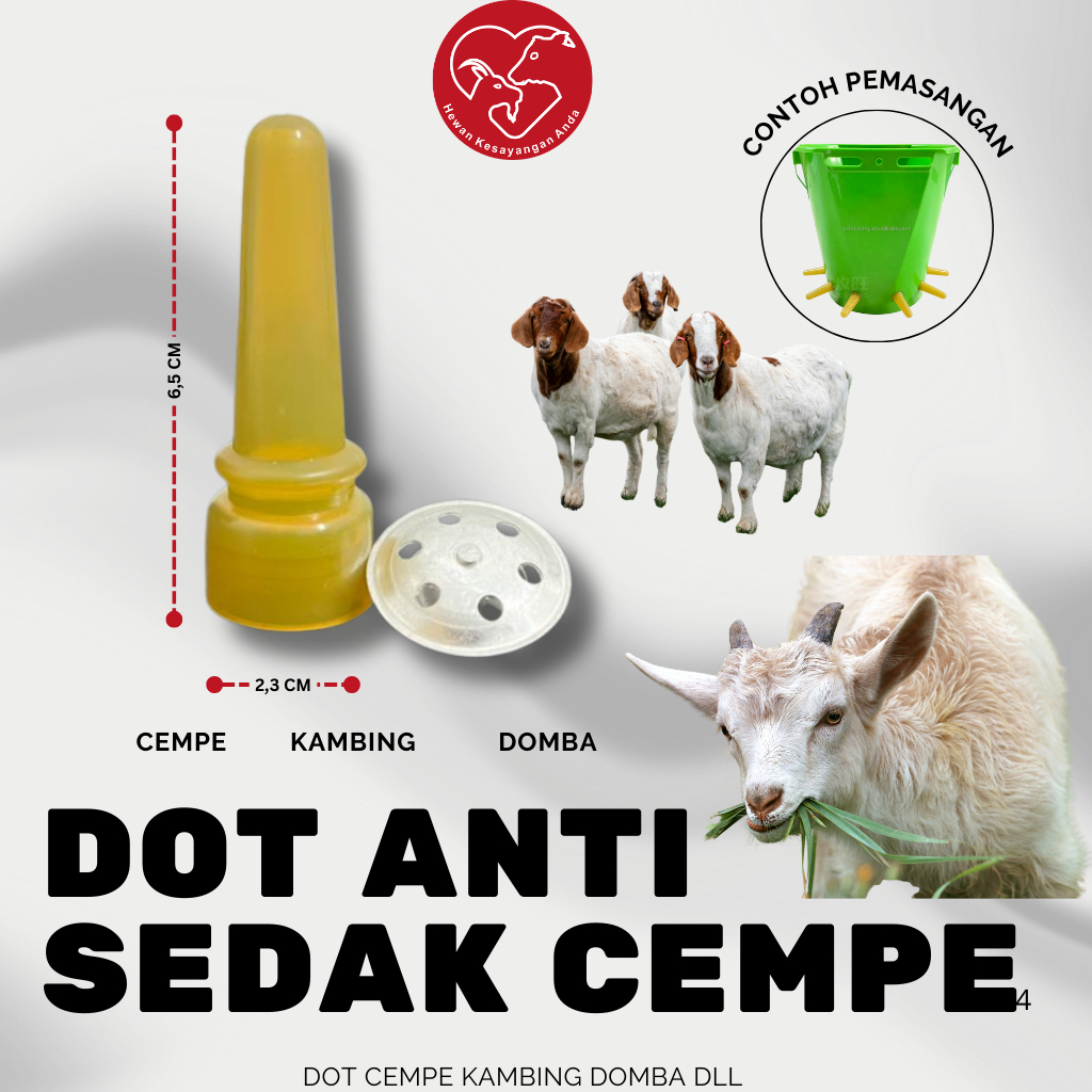 Dot Cempe Kambing Domba Dot Anti Sedak Dot Cempe Import