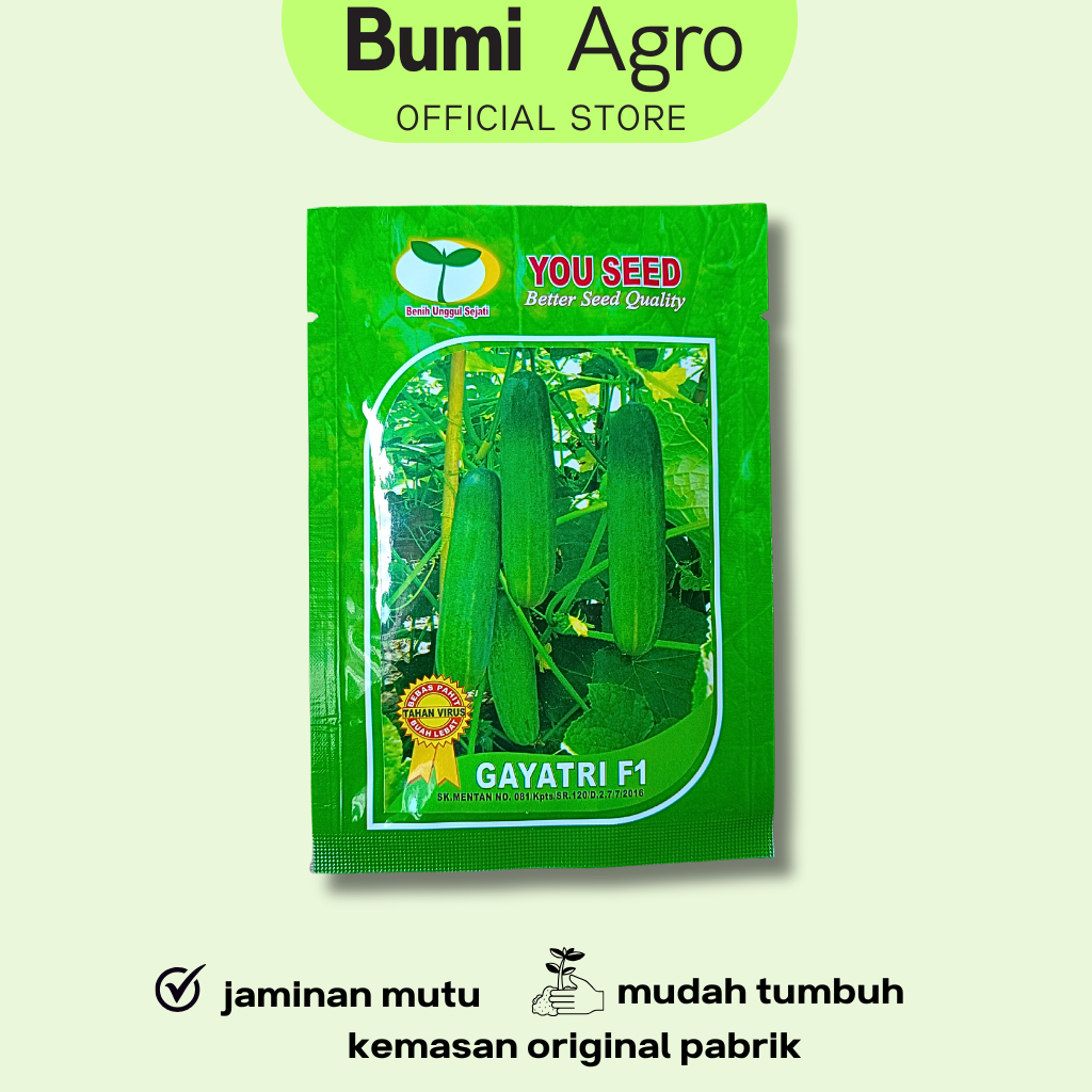Benih Timun Lalap 20 gr GAYATRI F1 Cap You Seed  800 an biji Unggul Produksi Tinggi