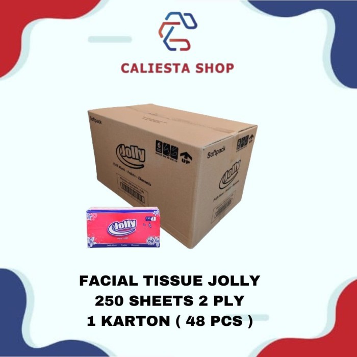 Facial Tissue Jolly by Paseo 1 Karton (48 pcs x 250 sheets 2 ply)