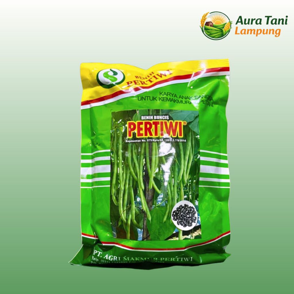 Benih Buncis PERTIWI 500 Gram - Bibit Buncis Unggul Pertiwi 500 Gram