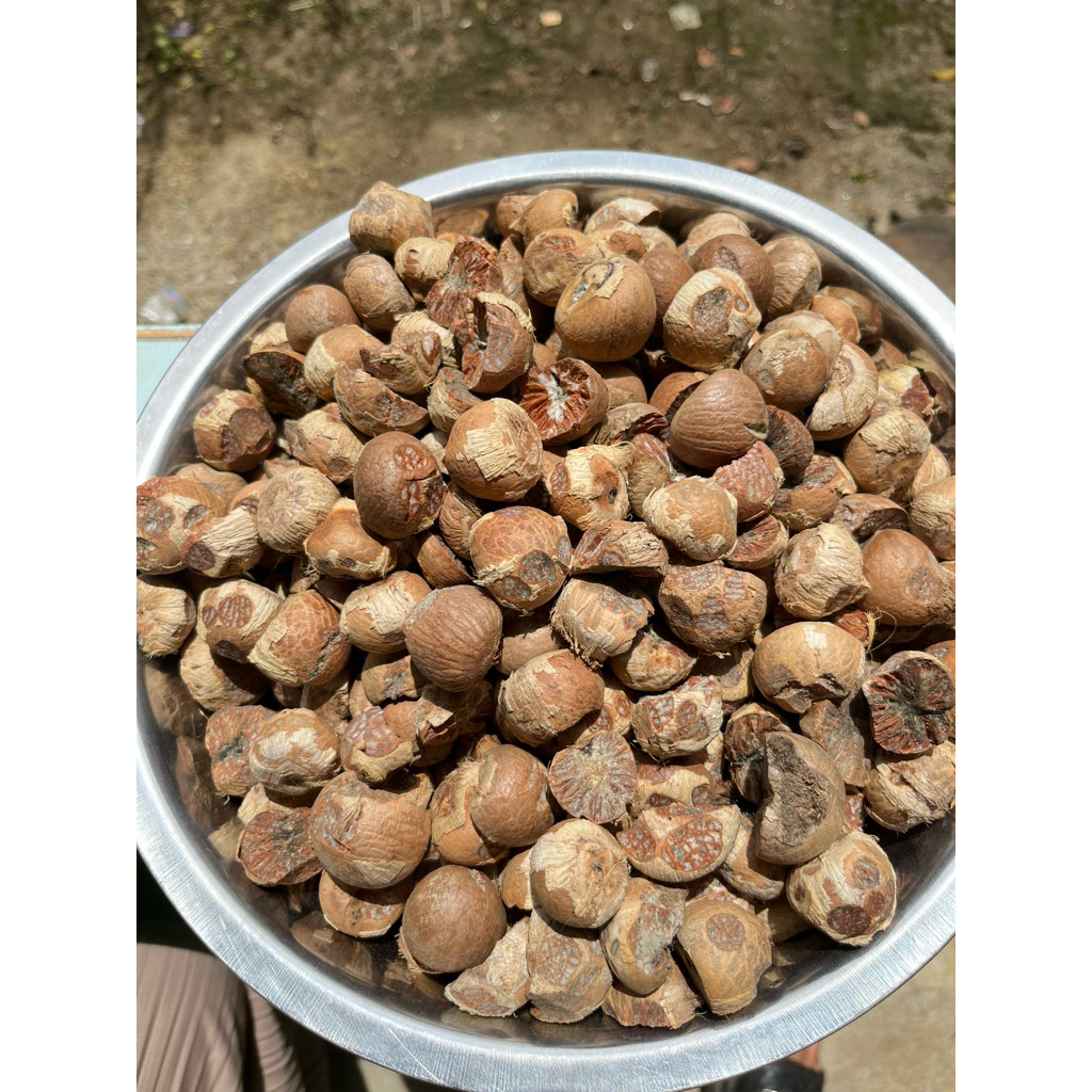 1 Kg Pinang kering Murah