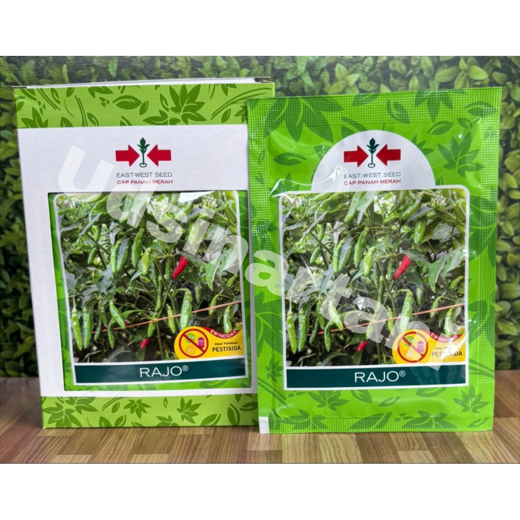 Benih Cabe Rawit Rajo isi 2250 Butir
