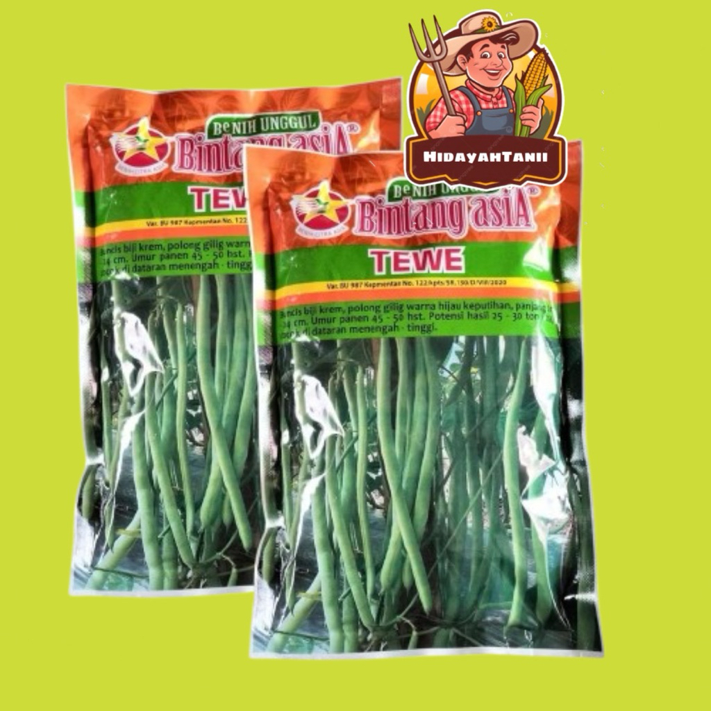 BENIH BUNCIS - TEWE – BINTANG ASIA – 500 GRAM