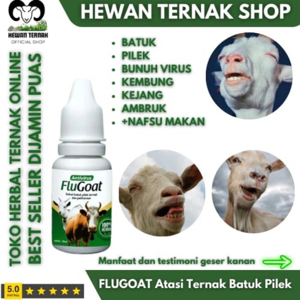 FLUGOAT Obat Mengatasi Lemas,Kembung,Pilek,Batuk Dan Susah Berdiri Untuk Kambing Domba,Sapi & Kerbau
