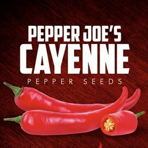 3 Biji Benih PEPPER Joe's Cayenne