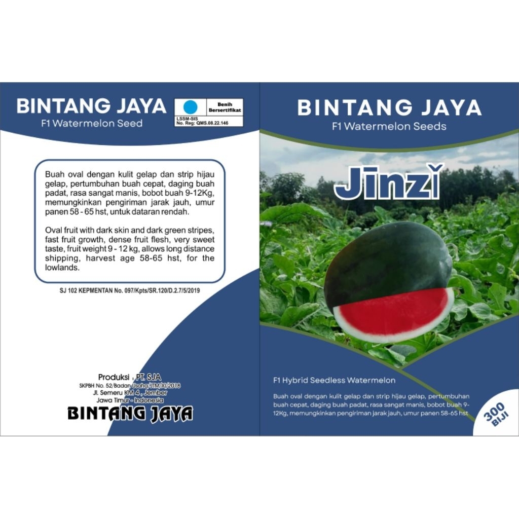benih bibit semangka non biji oval JINZI F1