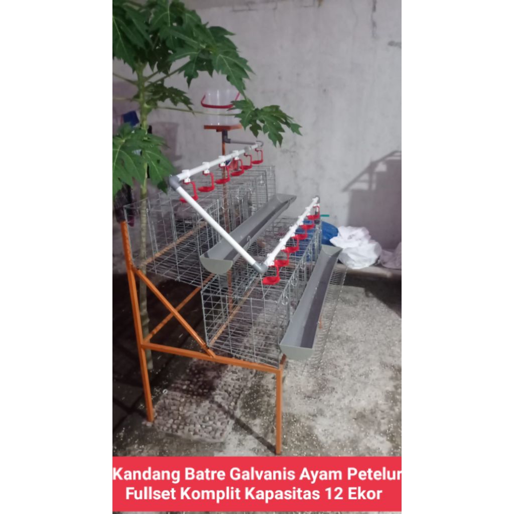 Kandang Batre Galvanis Ayam Petelur Fullset Komplit Kapasitas 12 Ekor