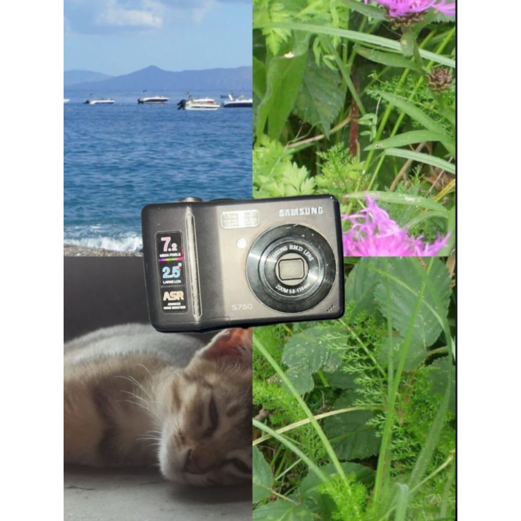 DIGICAM SAMSUNG S750 LCD BLANK FLASH OFF