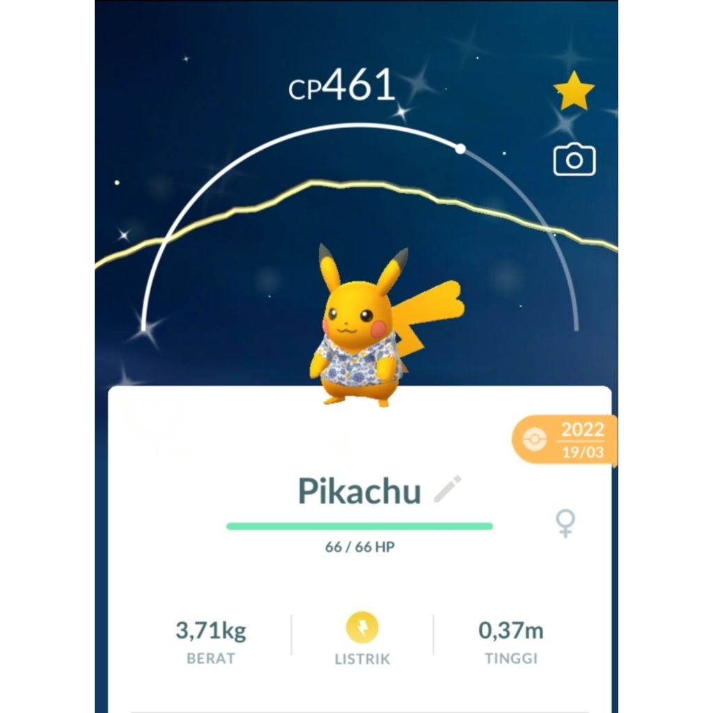 Shiny Pikachu Costum Pokemon GO
