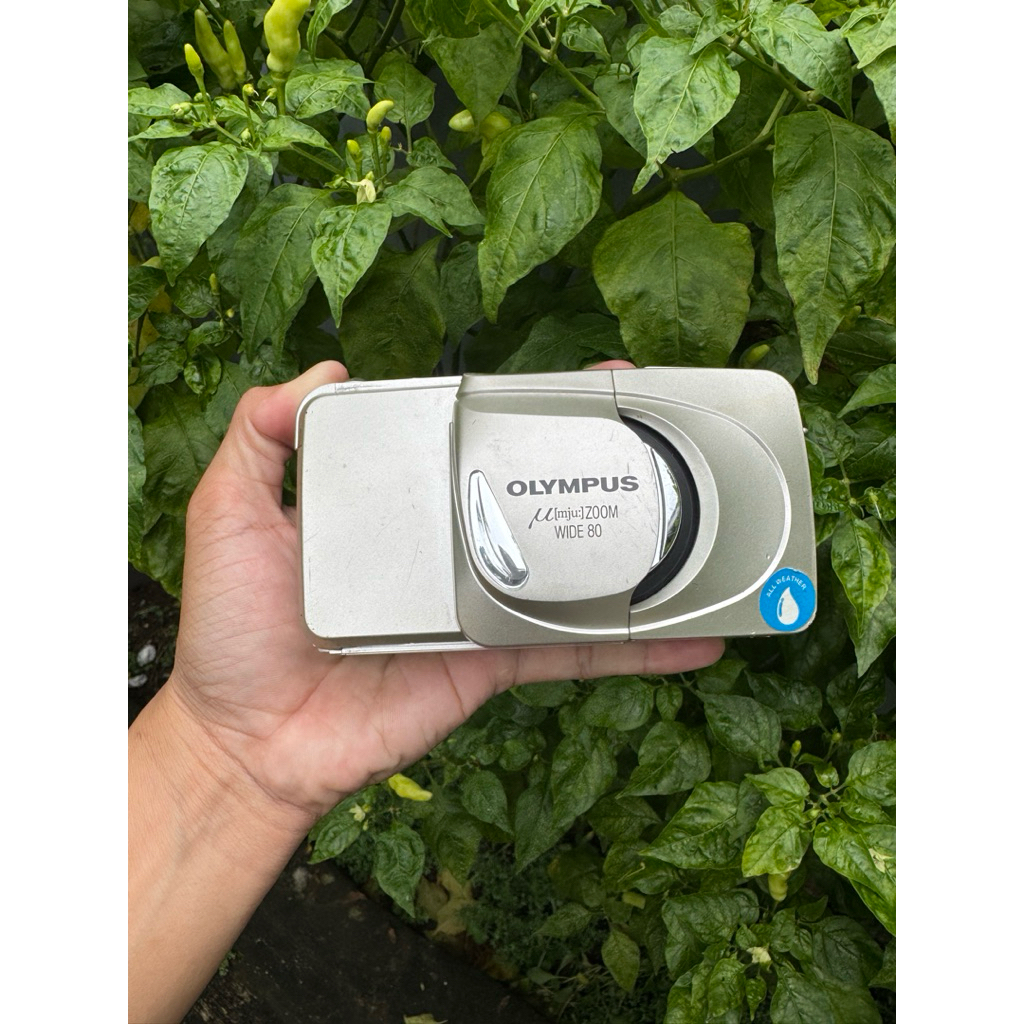 olympus zoom wide 80 not mju ii