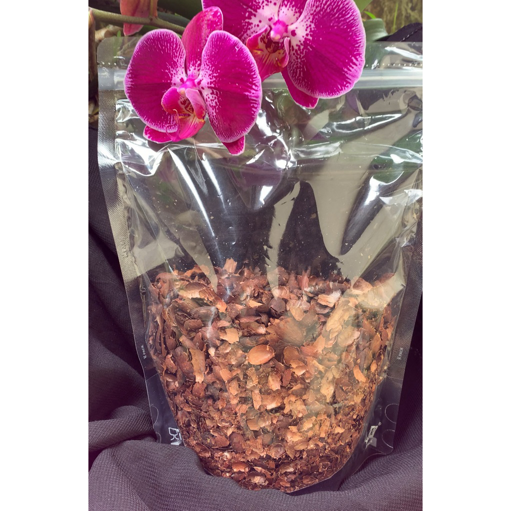 Dried Cacao Husk|kulit kakao kering|100gr | Kulit coklat
