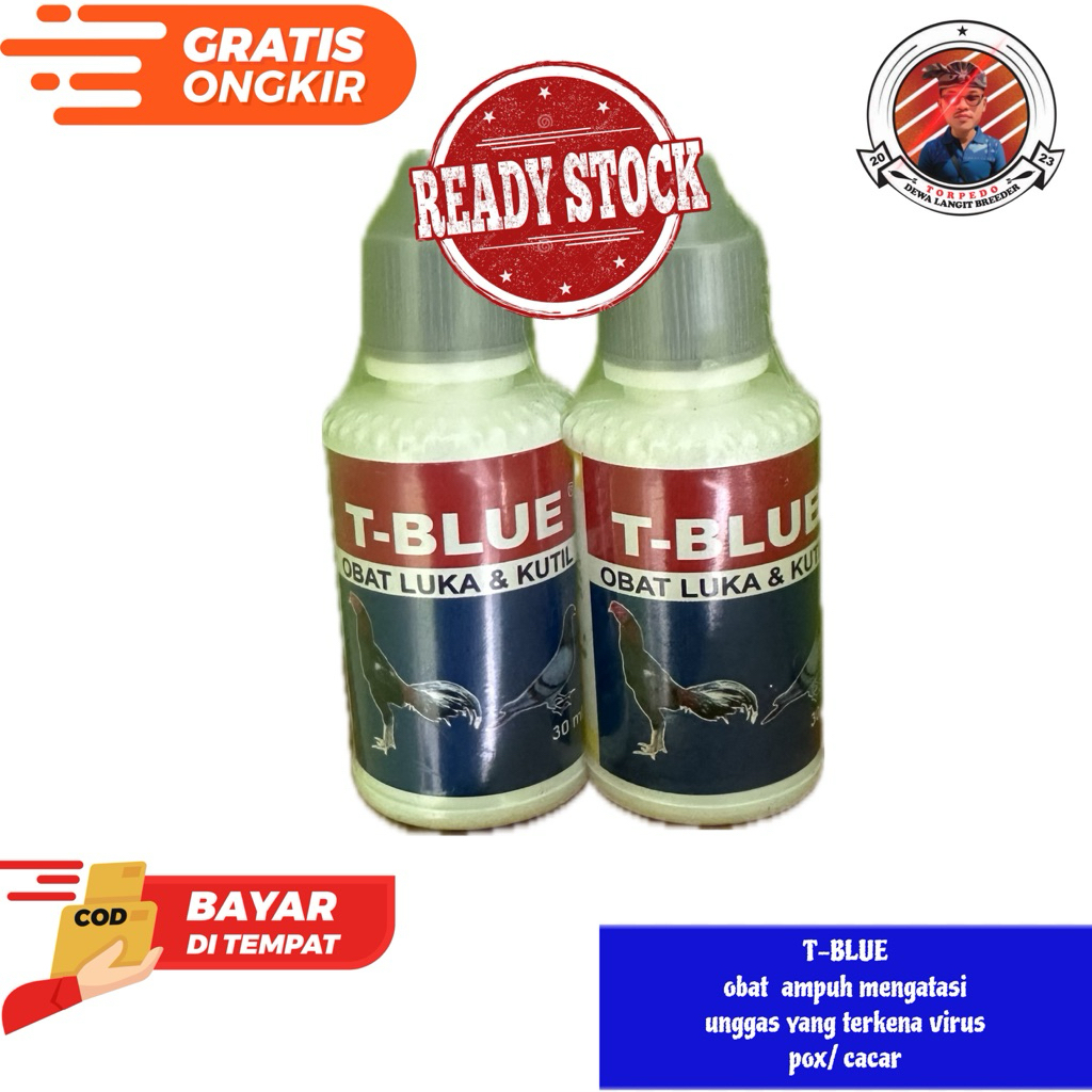 T blue teman ayam mengatasi cacar