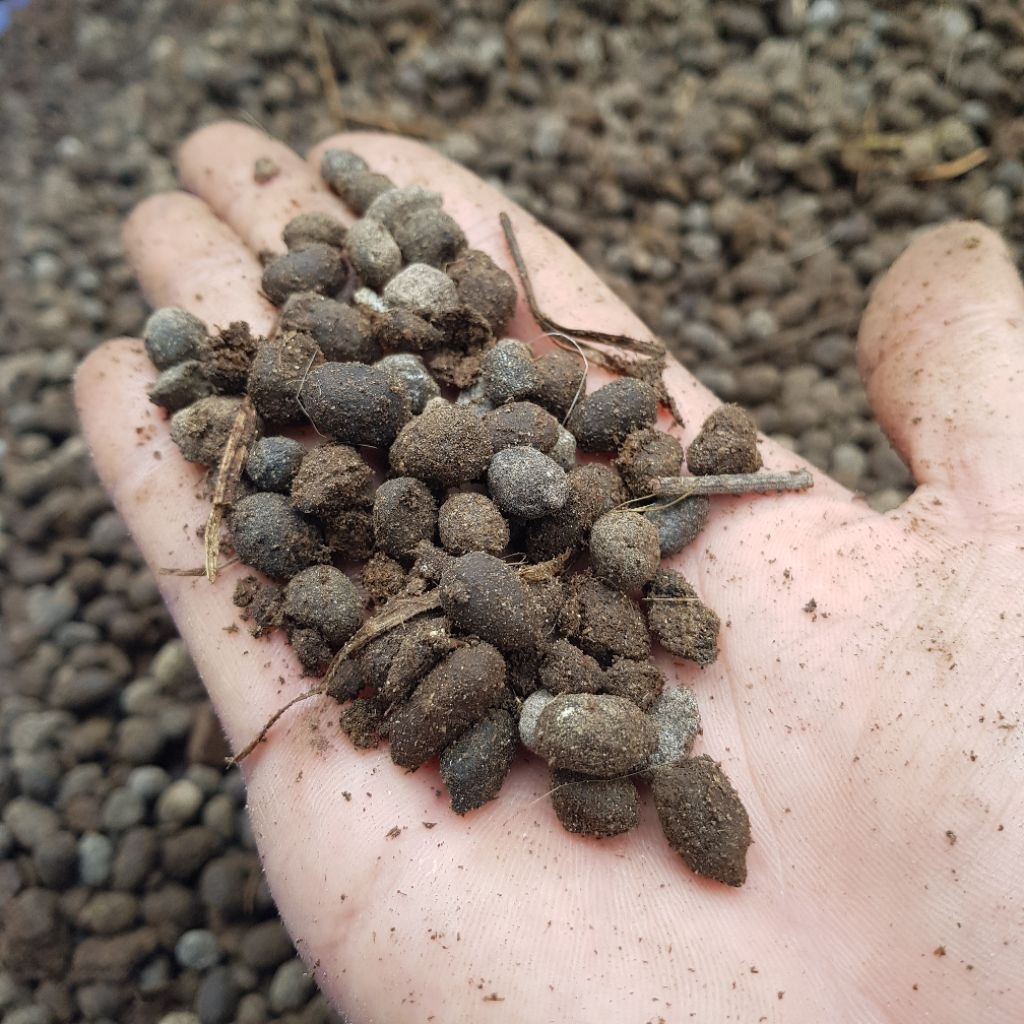 Srintil Murni Pupuk Kandang Kohe Kambing Murni Butiran 5Kg