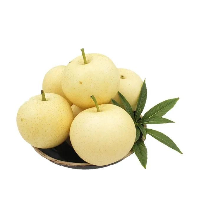 BUAH PEAR CENTURY