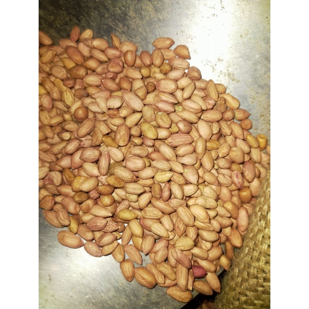 kacang tanah goreng