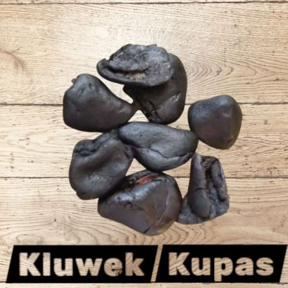 Kluwek/Klewek/pucung kepayang kupas 1kg berkualitas