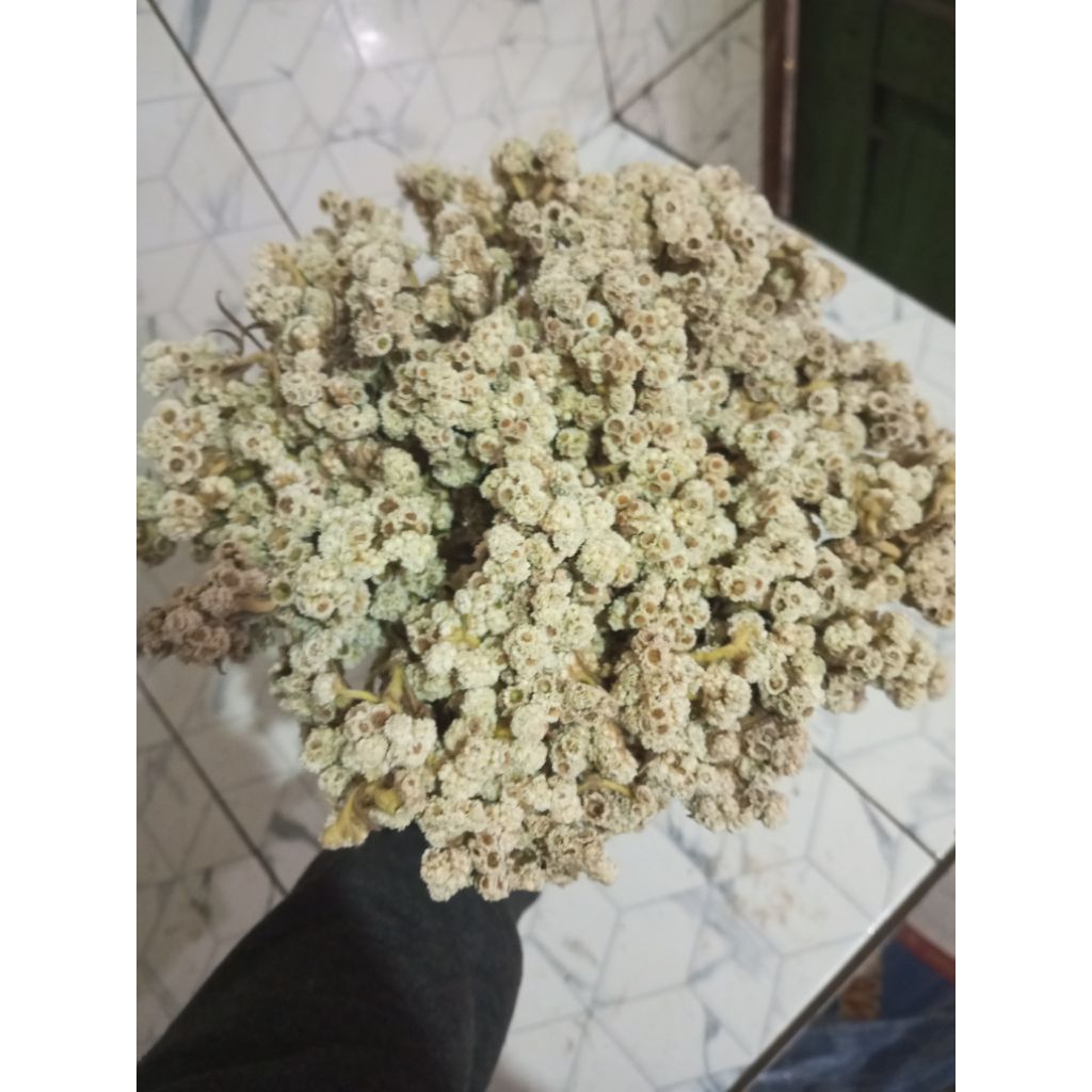 bunga edelweis kering isi 20 batang 30 batang