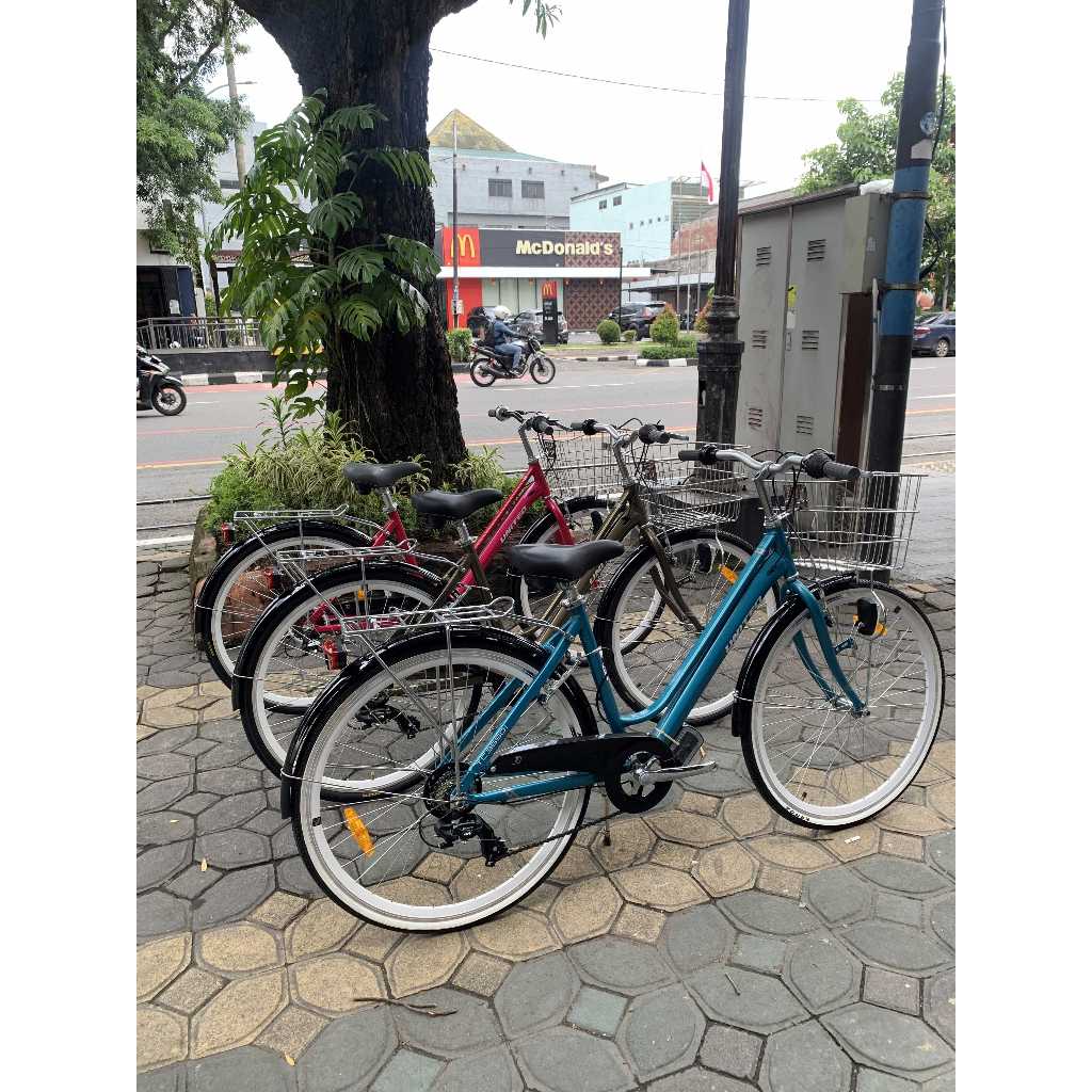 SEPEDA UNITED CITYBIKE TC-3650I