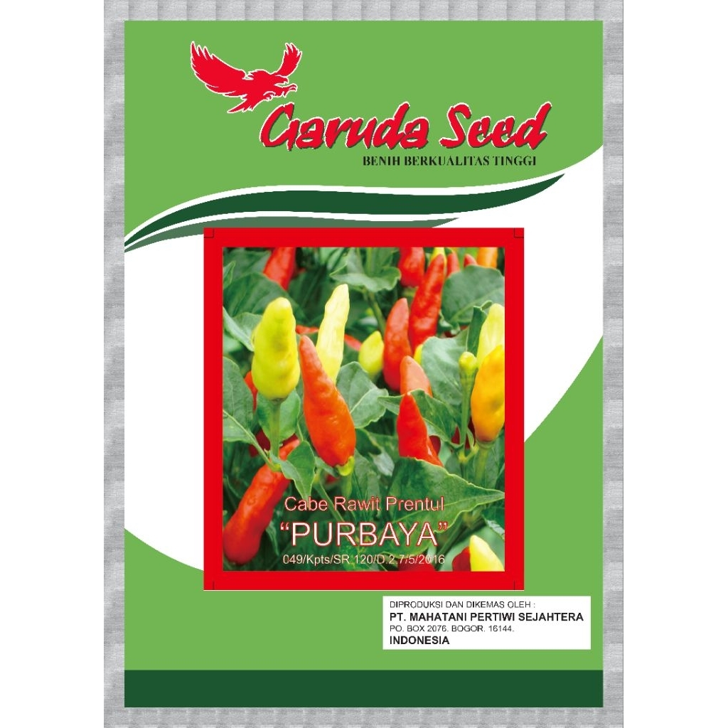 Benih Cabai Rawit Putih Pendekar berganti nama menjadi Purbaya 10 gram | bibit Cabe Rawit Putih Pren
