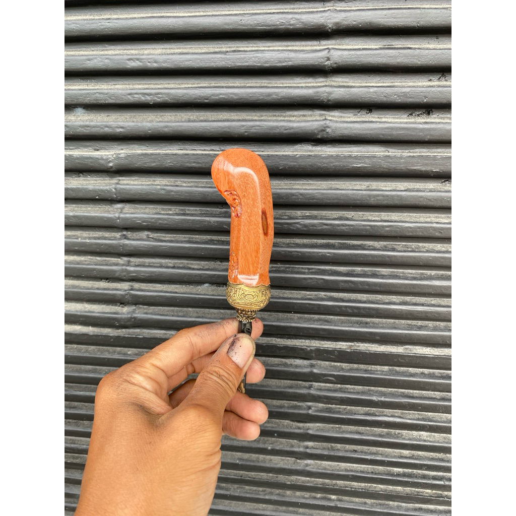 deder nogosari mendak selut jogjakarta