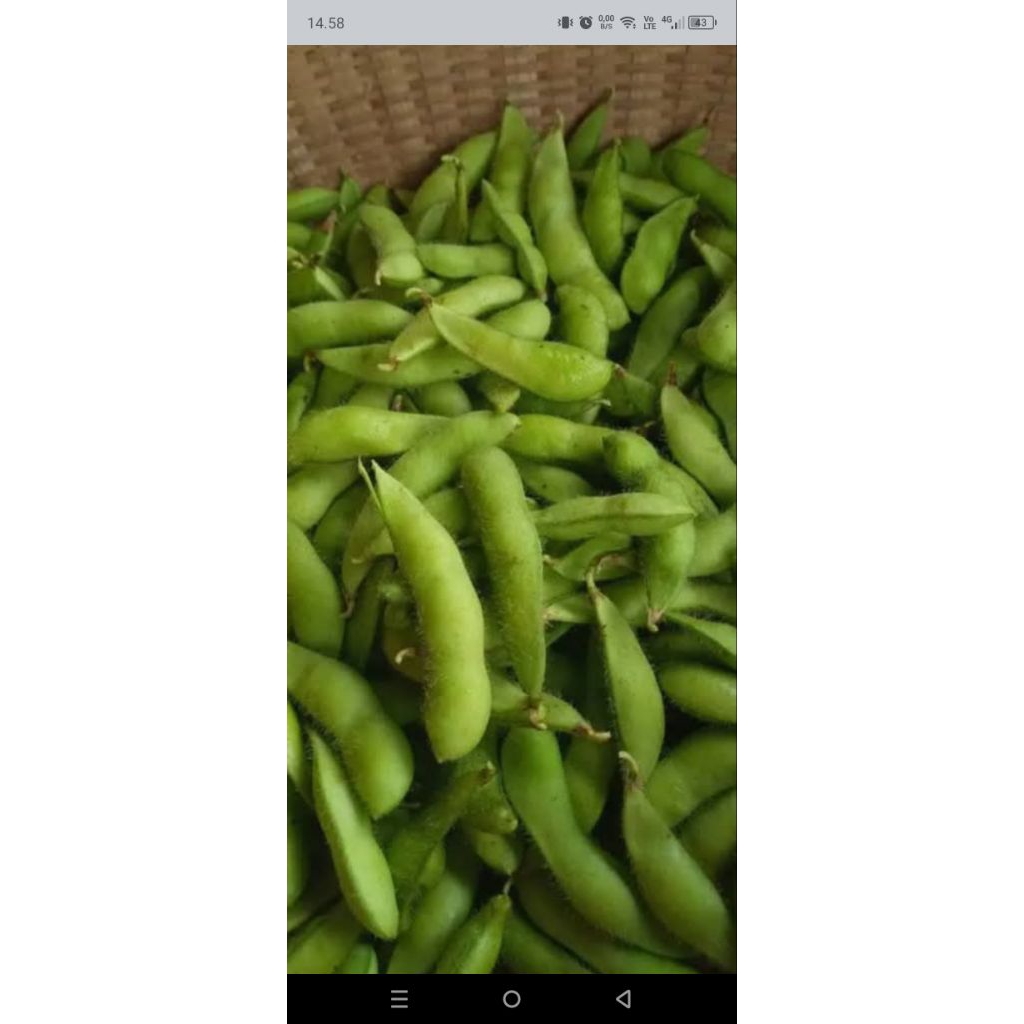 edamame fresh