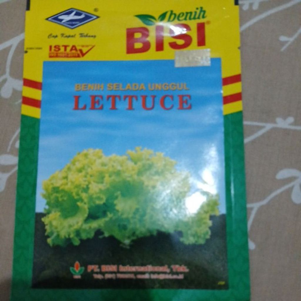 Benih Selada Lettuce