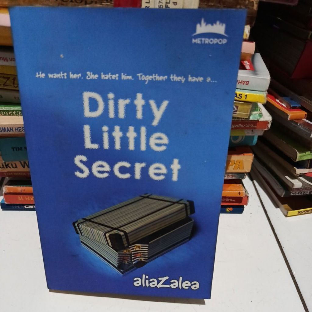 Novel Bekas Dirty little secret
