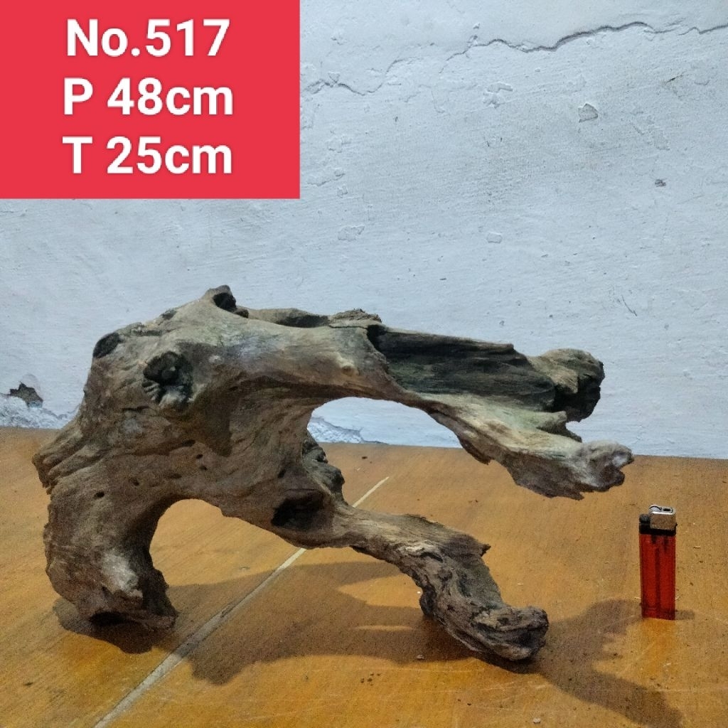 bonggolan akar santigi laut akar dekorasi aquarium aquascape 517