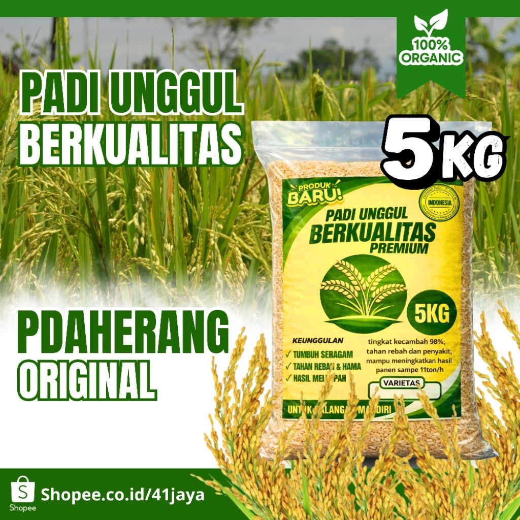 Benih padi unggul PADAHERANG original 5kg