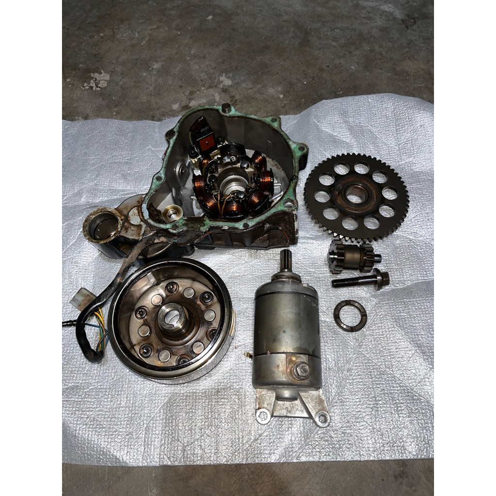 Dobel stater tiger revo tiger lama